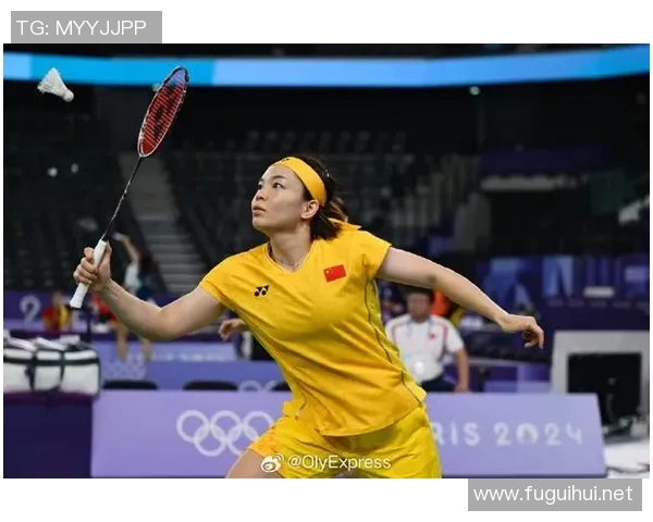 武汉羽毛球队的节奏揭秘：从训练到比赛的全景探索与背后故事